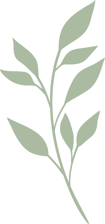 Planta 4 Vector