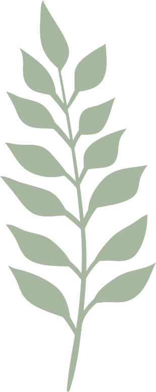 Planta 5 Vector